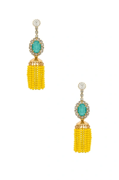 Shop Elizabeth Cole Jaxton Earrings In Yellow. In Sunshine