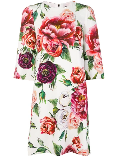 Shop Dolce & Gabbana Multicolour