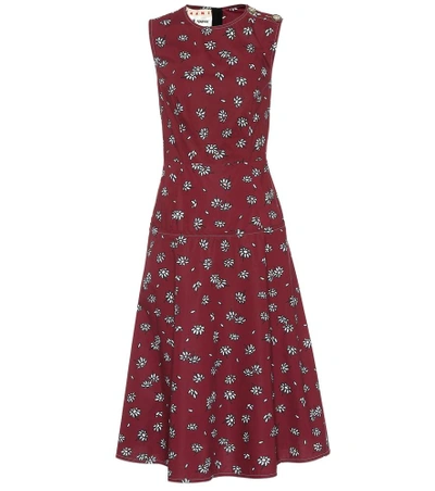 Shop Marni Daisy Cotton Dress In Female