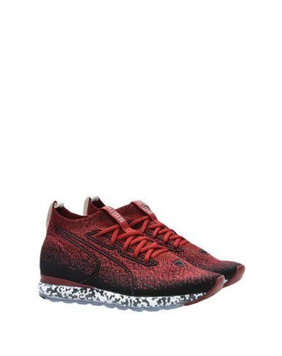 Shop Puma Jamming Evoknit Man Sneakers Burgundy Size 5 Textile Fibers In Red