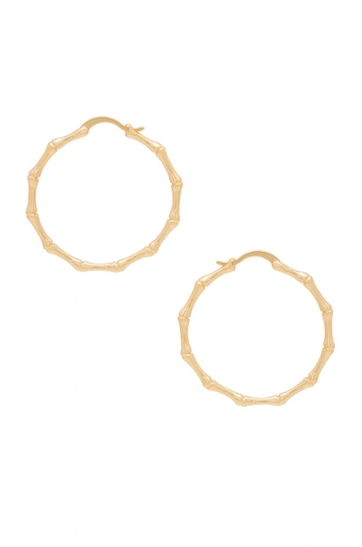 Shop The M Jewelers Ny Bamboo Hoop Earrings In Gold