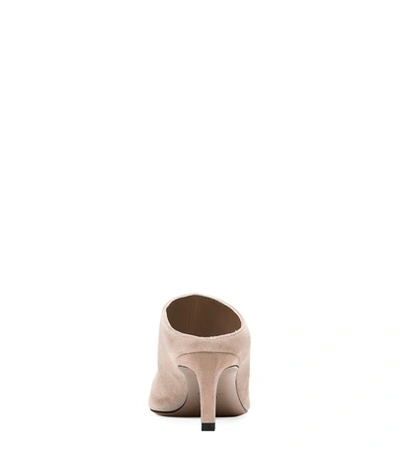 Shop Stuart Weitzman The Mira Mule In Dolce Taupe Suede