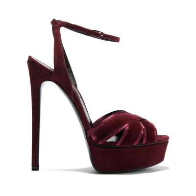 Shop Casadei Flora Velvetop In Marsala