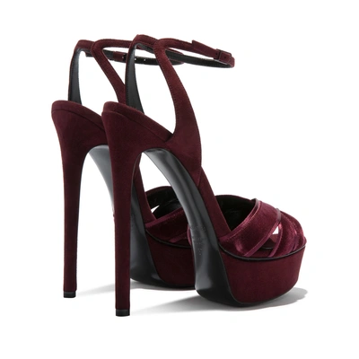 Shop Casadei Flora Velvetop In Marsala