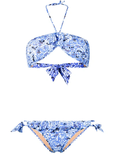 Shop Emmanuela Swimwear Young Printed Halterneck Bikini In Blue