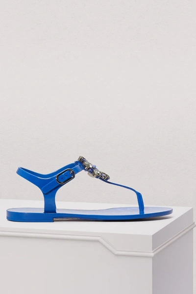Shop Dolce & Gabbana Jelly Sandals In Blue Royal