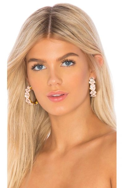 Shop Jennifer Behr Cassie Hoop Earrings In Pink