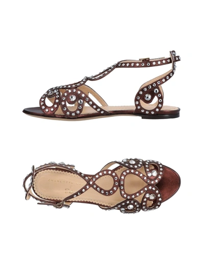 Shop Charlotte Olympia Sandals In Dark Brown