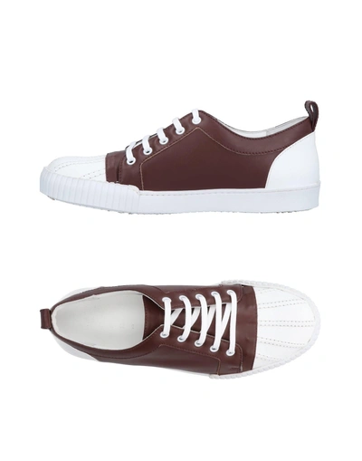 Shop Marni Sneakers In Brown