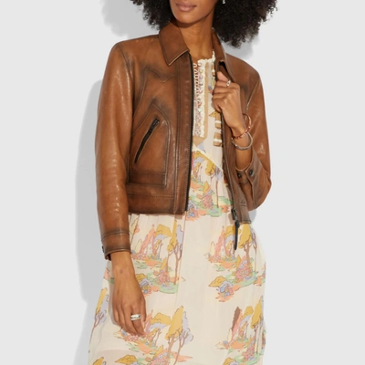 Shop Coach Burnished Leather Jacket In Fawn