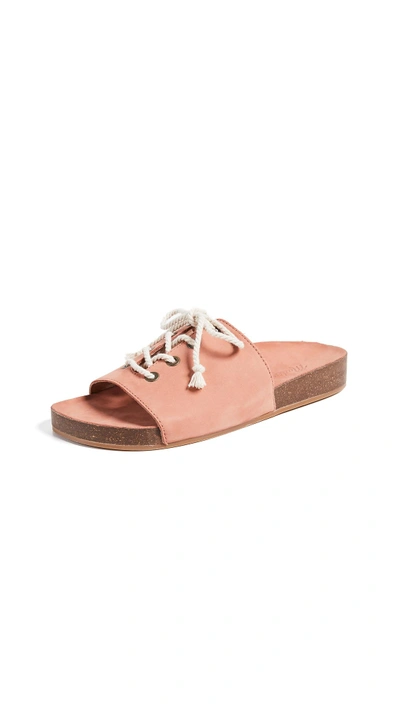 Shop Madewell The Aileen Slide Sandals In Spiced Rose