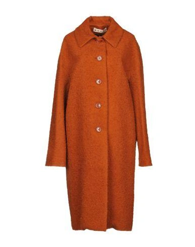 Shop Marni Coats In Rust