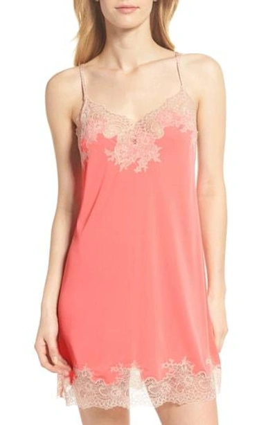 Shop Natori 'enchant' Chemise In Coral/ Cameo Rose Lace