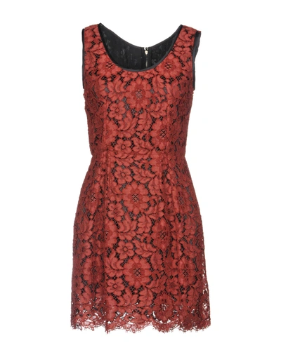 Shop Dolce & Gabbana Short Dress In Maroon