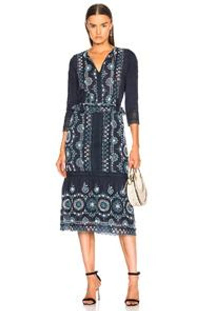 Shop Sea Sofie Lace Long Sleeve Ruffle Maxi In Blue,floral.