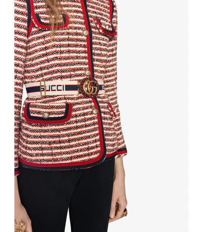 Shop Gucci Multicolor Stripe  Belt