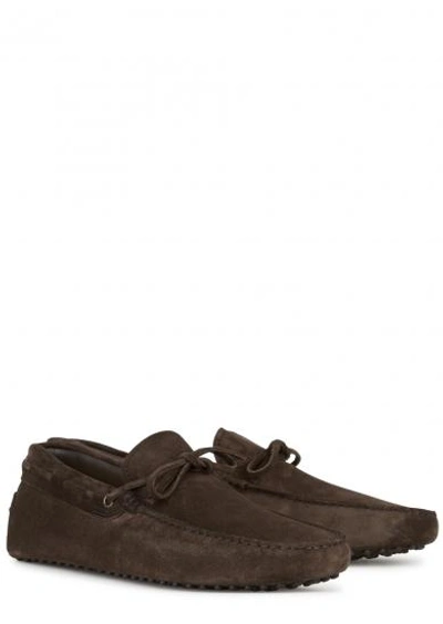 Shop Tod's Gommino Brown Suede Driving Shoes
