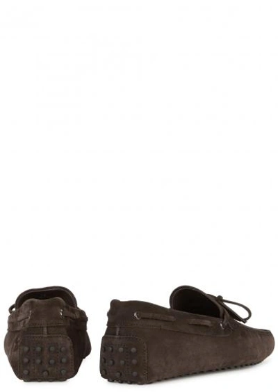 Shop Tod's Gommino Brown Suede Driving Shoes