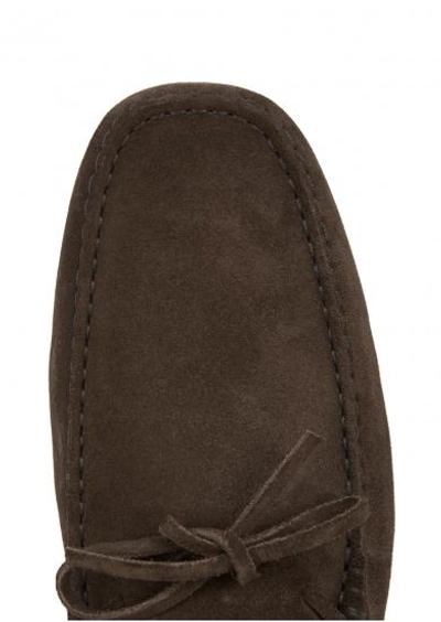 Shop Tod's Gommino Brown Suede Driving Shoes