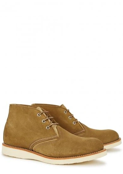 Shop Red Wing Shoes Olive Suede Chukka Boots