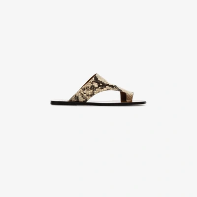 Shop Atp Atelier Roma Snake Print Leather Sandals In Nude/neutrals