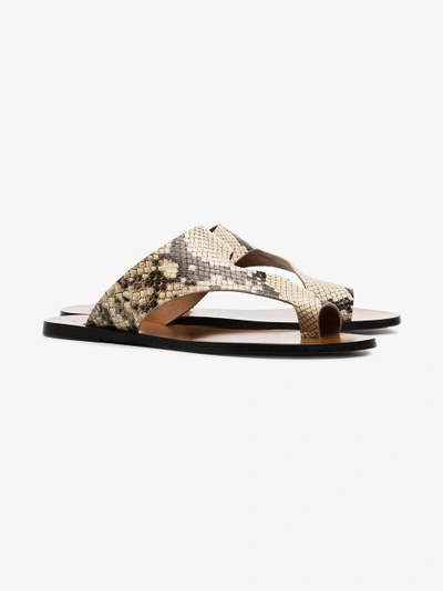 Shop Atp Atelier Roma Snake Print Leather Sandals In Nude/neutrals