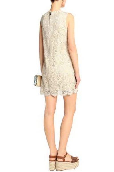 Shop Dolce & Gabbana Embellished Cotton-blend Corded Lace Mini Dress In Neutral