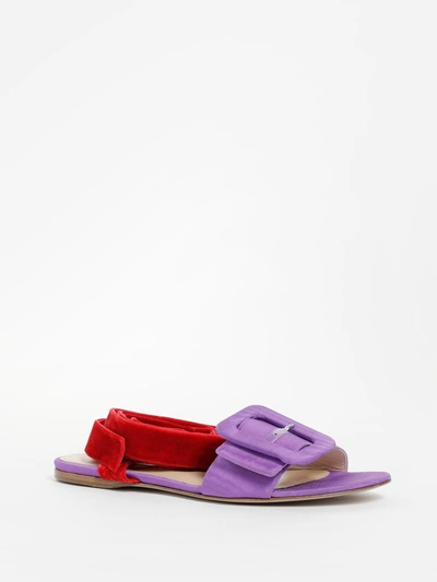 Shop Attico Women's Multicolor Flat Sandal With Laces In Lilac/red