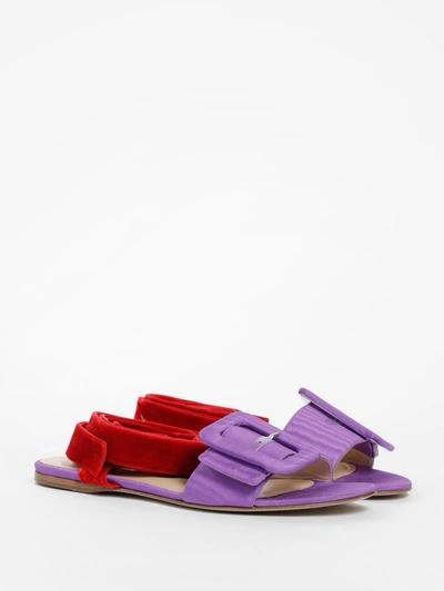 Shop Attico Women's Multicolor Flat Sandal With Laces In Lilac/red