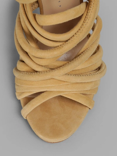 Shop Giuseppe Zanotti Women's Suede Camel Sandals