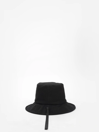 Shop D By D Men's Black Back Zip Hat