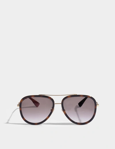 Shop Gucci Injected Sunglasses