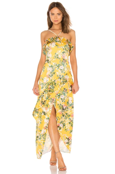 Shop Stylestalker Isabella Maxi Dress In Yellow