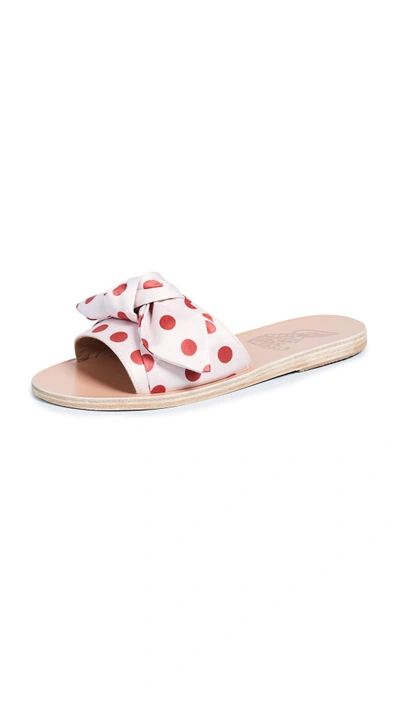 Shop Ancient Greek Sandals Taygete Bow Slide Sandals In Pois Red