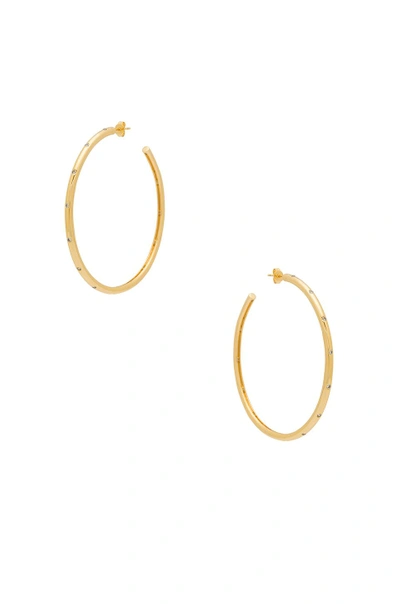 Shop Lulu Dk X Weworewhat Large Clear Cz Studded Hoop In Metallic Gold