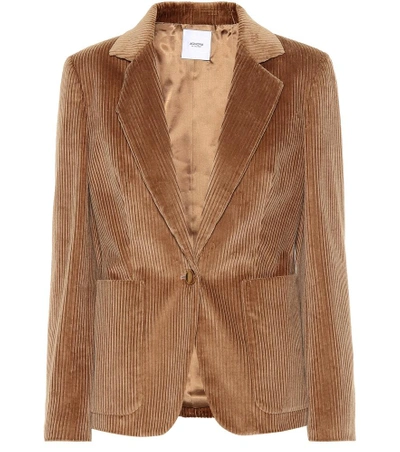 Shop Agnona Corduroy Blazer In Brown