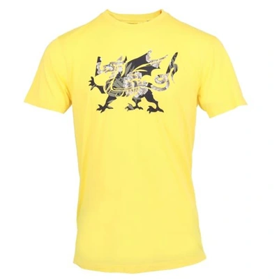 Shop Lords Of Harlech Rob Dragon Tee In Yellow
