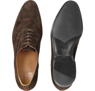 Shop Moreschi Shoes Dublin Dark Brown Suede Cap-toe Oxford Shoes