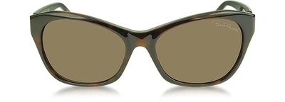 Shop Roberto Cavalli Designer Sunglasses Asdu 730s 52f Havana Leopard Brown Sunglasses In Havane Foncé/marron Léopard