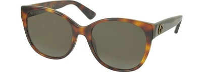 Shop Gucci Designer Sunglasses Gg0097s 006 Havana Acetate Cat Eye Women's Polarized Sunglasses In Marron