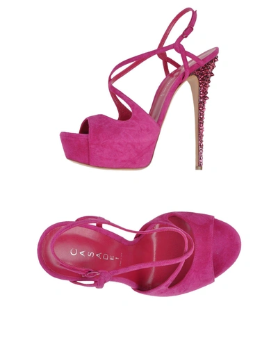 Shop Casadei Sandals In Fuchsia