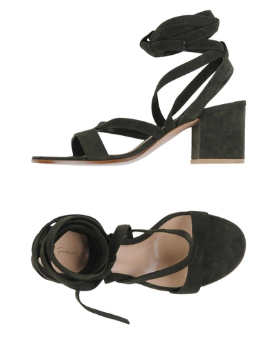 Shop Gianvito Rossi Sandals In Military Green