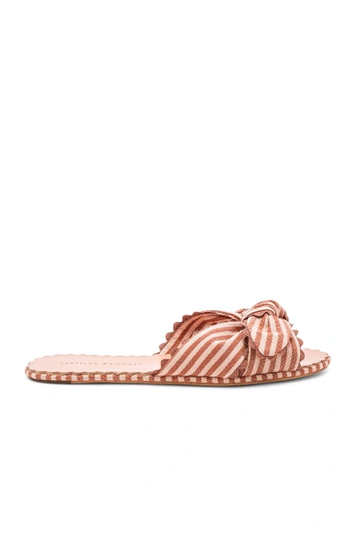 Shop Loeffler Randall Shirley Knotted Ric Rac Slide With Scalloped Edge In Pink