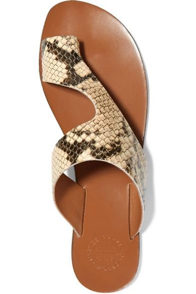 Shop Atp Atelier Roma Snake-effect Leather Sandals In Snake Print
