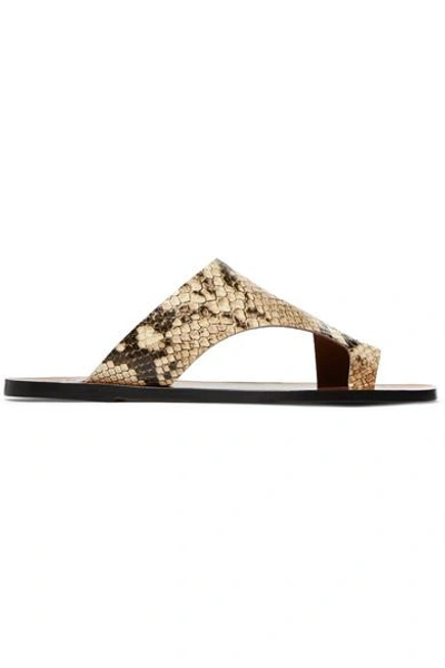 Shop Atp Atelier Roma Snake-effect Leather Sandals In Snake Print