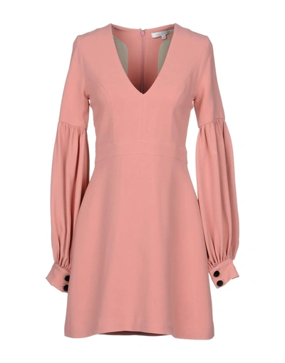 Shop Alexis Short Dress In Pink