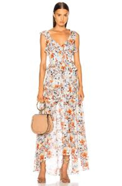 Shop Alexis Jewell Dress In Vintage Blossom