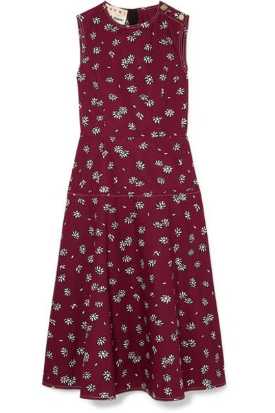Shop Marni Floral-print Cotton-poplin Midi Dress In Burgundy