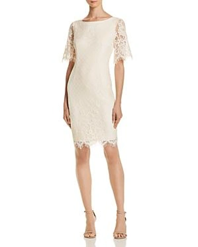 Shop Adrianna Papell Georgia Lace Dress In Ivory