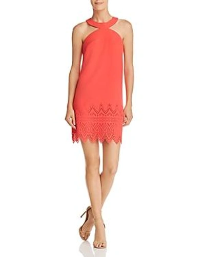 Shop Laundry By Shelli Segal Sleeveless Laser-cut Dress In Hibiscus